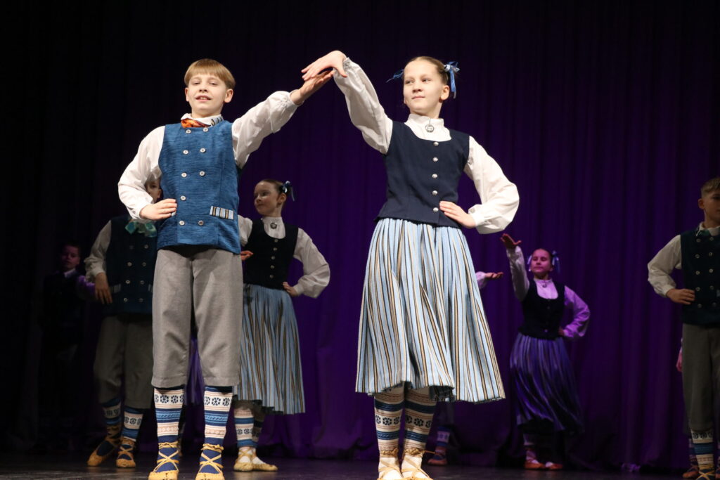 Aluksniesiem.lv raksta attēla aizvietotājs