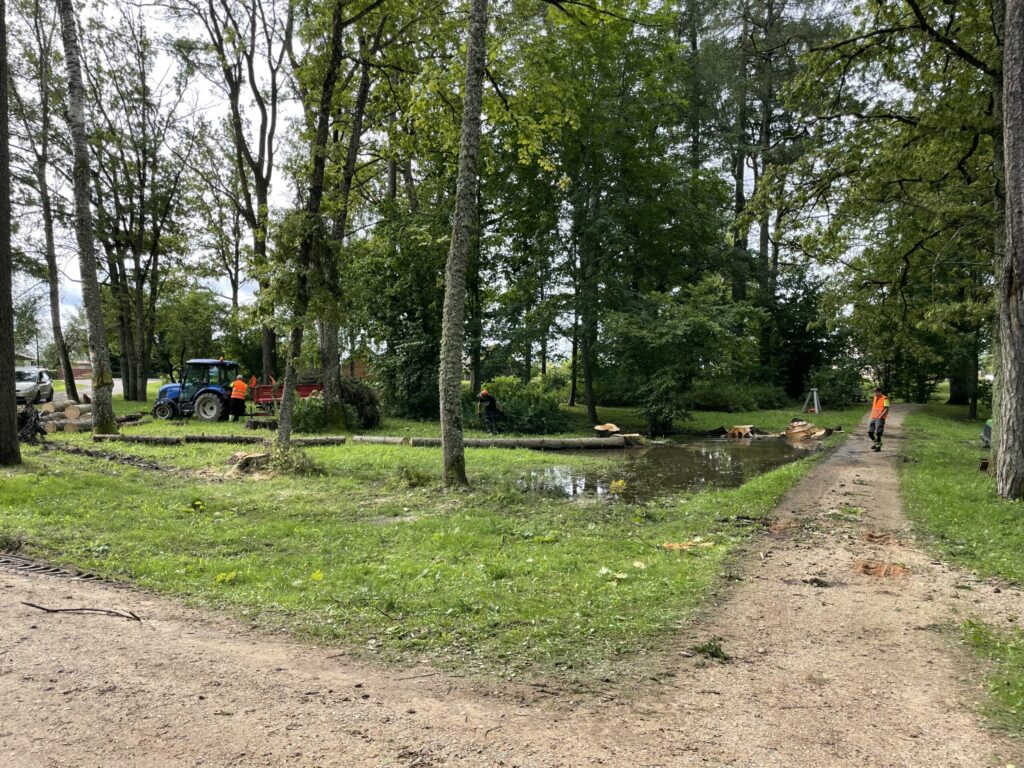 Autors: Foto: Diāna Odumiņa