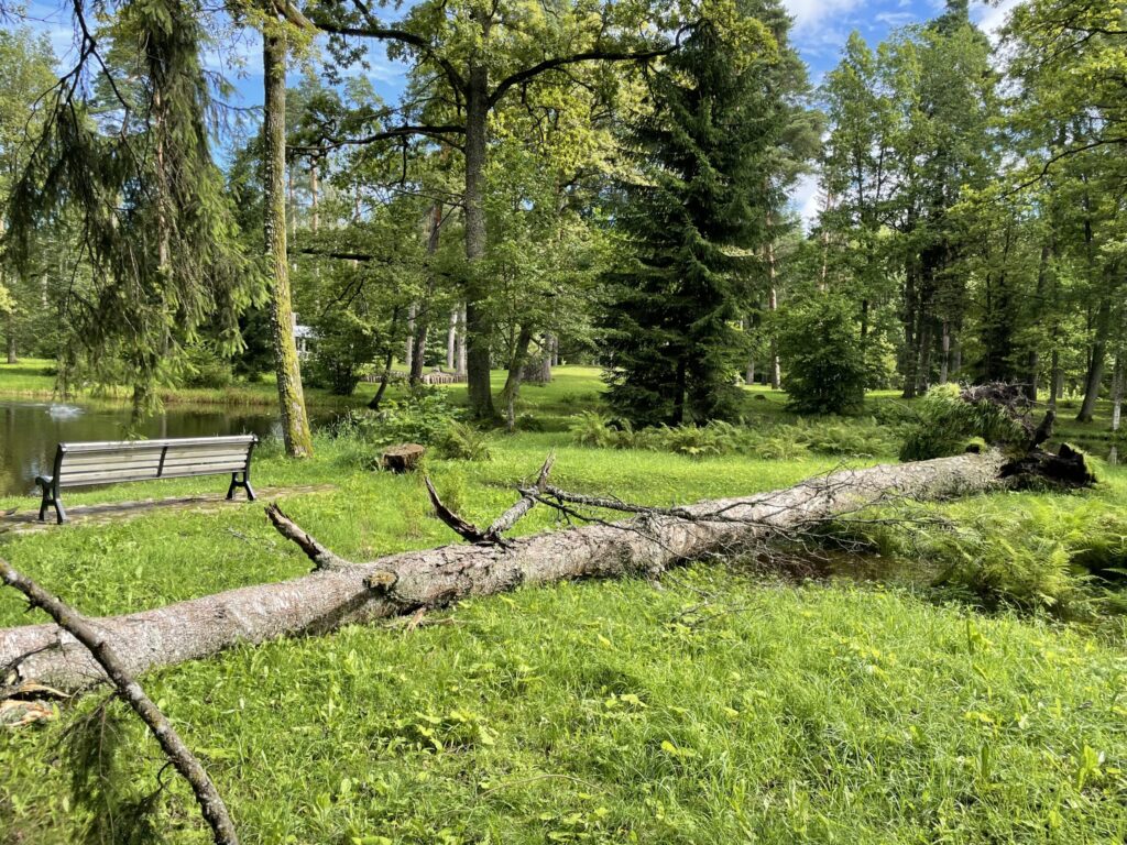 Autors: Foto: Diāna Odumiņa