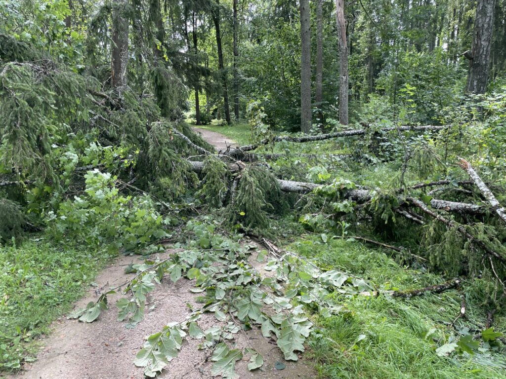 Autors: Foto: Diāna Odumiņa