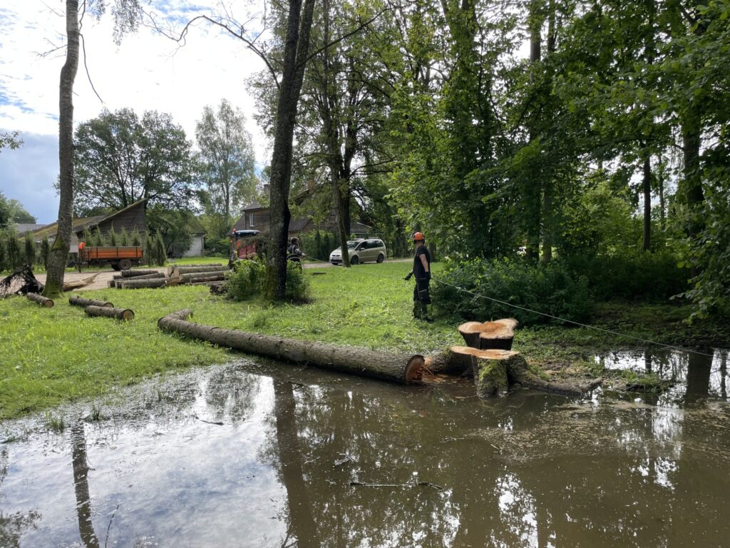 Autors: Foto: Diāna Odumiņa