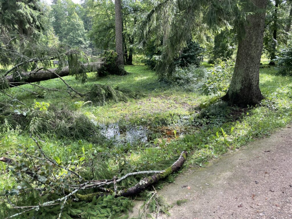 Autors: Foto: Diāna Odumiņa