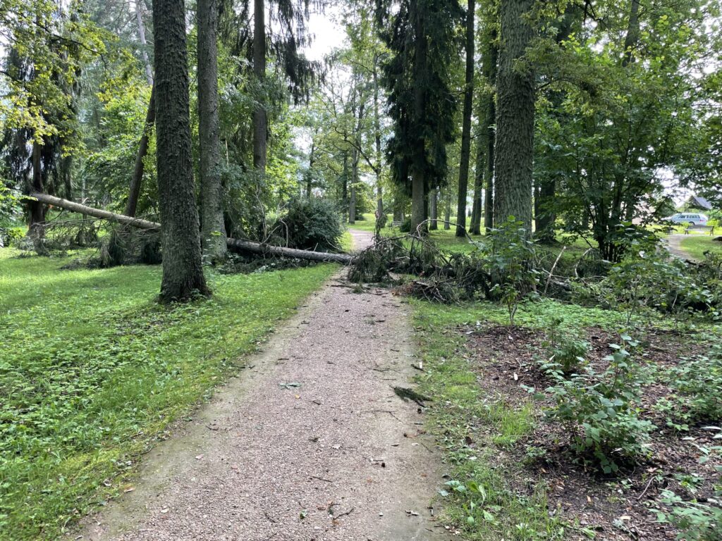 Autors: Foto: Diāna Odumiņa