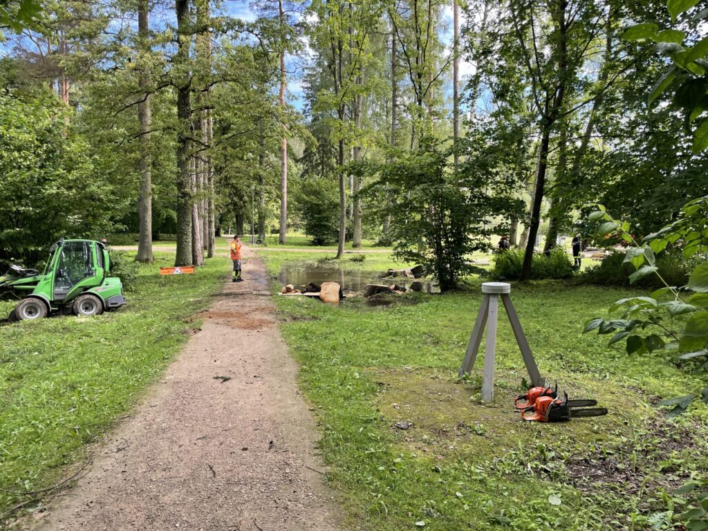 Autors: Foto: Diāna Odumiņa