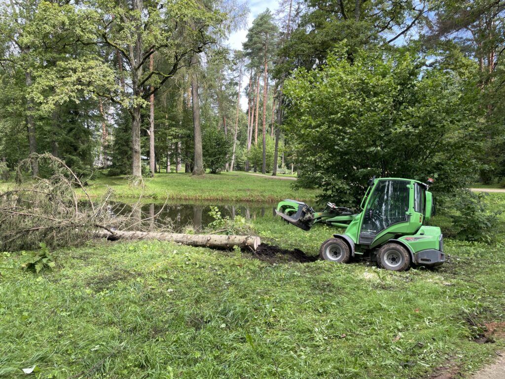 Autors: Foto: Diāna Odumiņa