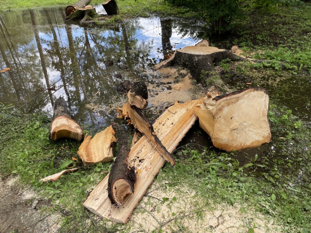 Autors: Foto: Diāna Odumiņa