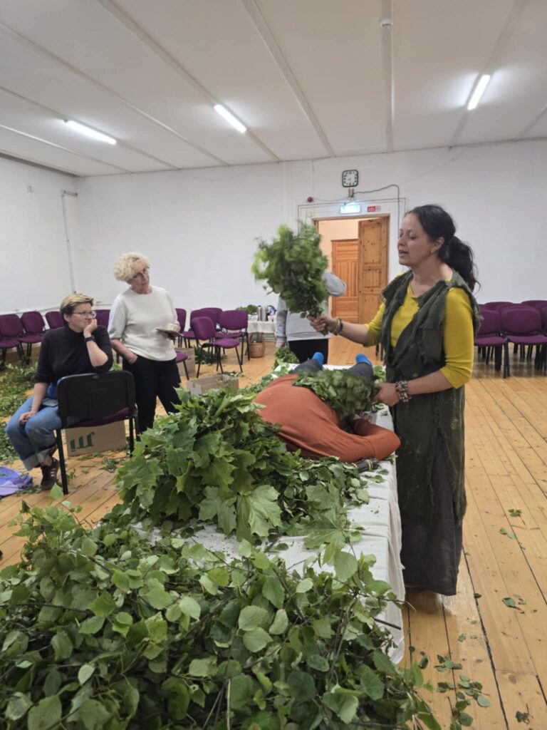 Aluksniesiem.lv raksta attēla aizvietotājs