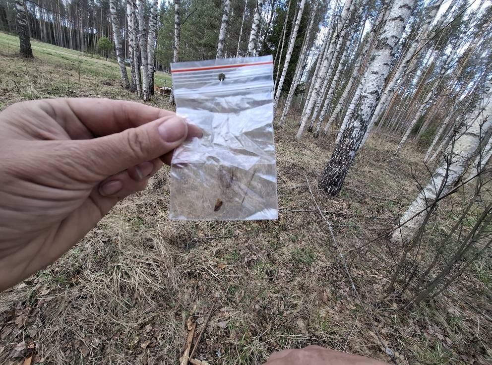 Autors: Foto: Rolands Krevics