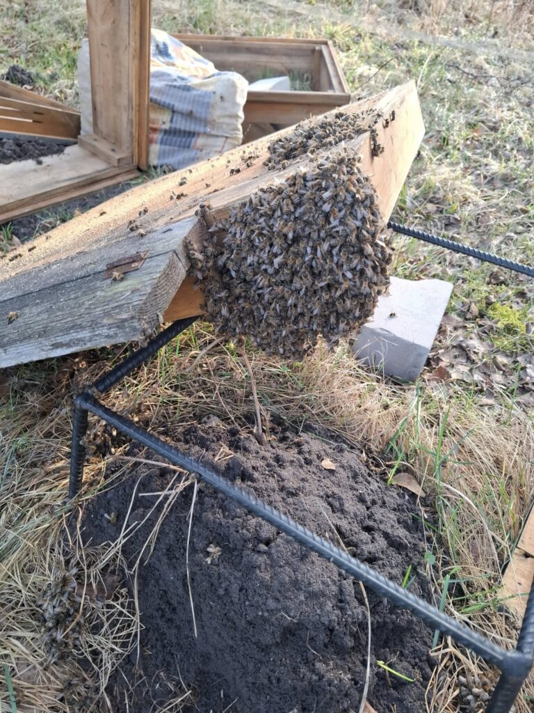 Autors: Foto: Rolands Krevics