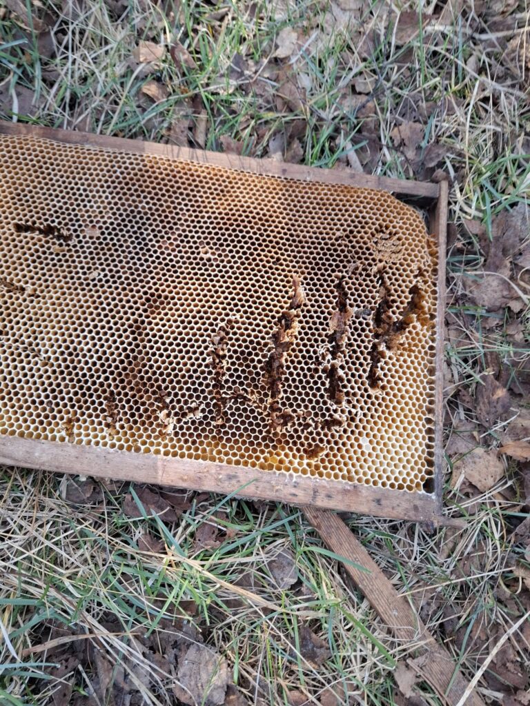 Autors: Foto: Rolands Krevics