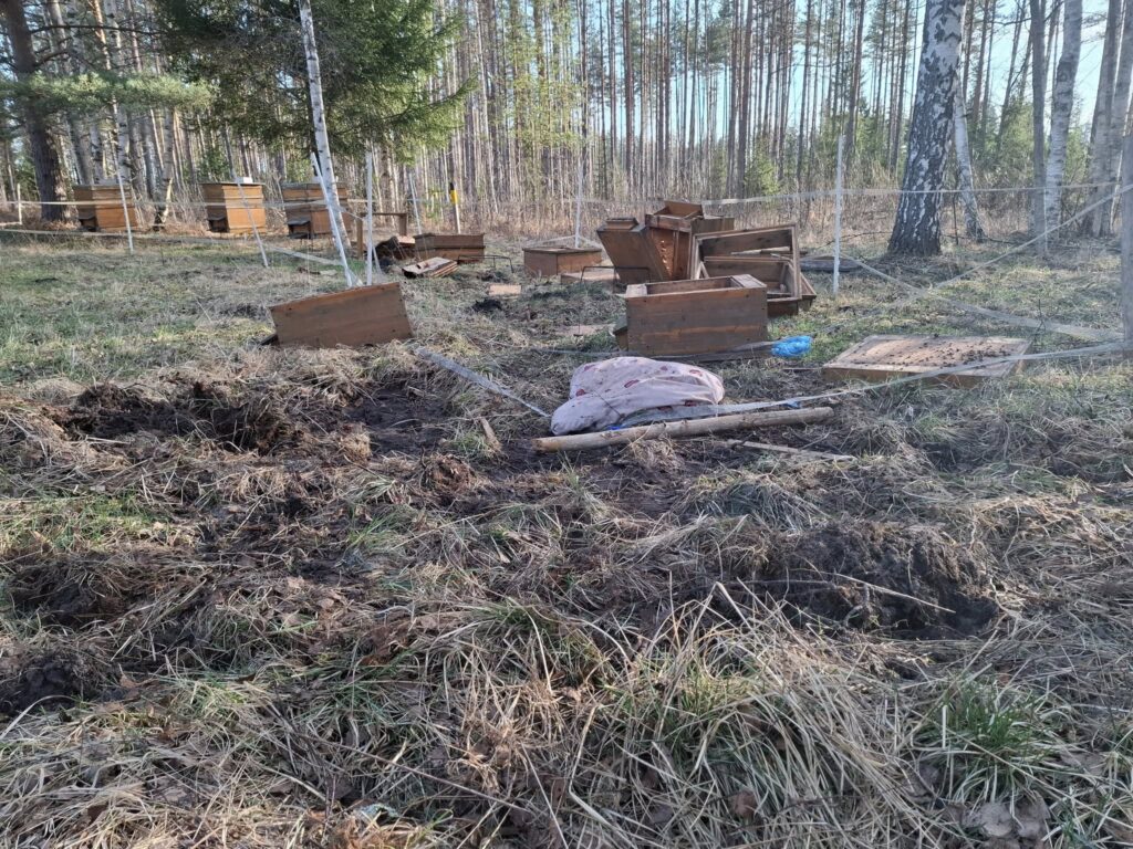 Autors: Foto: Rolands Krevics