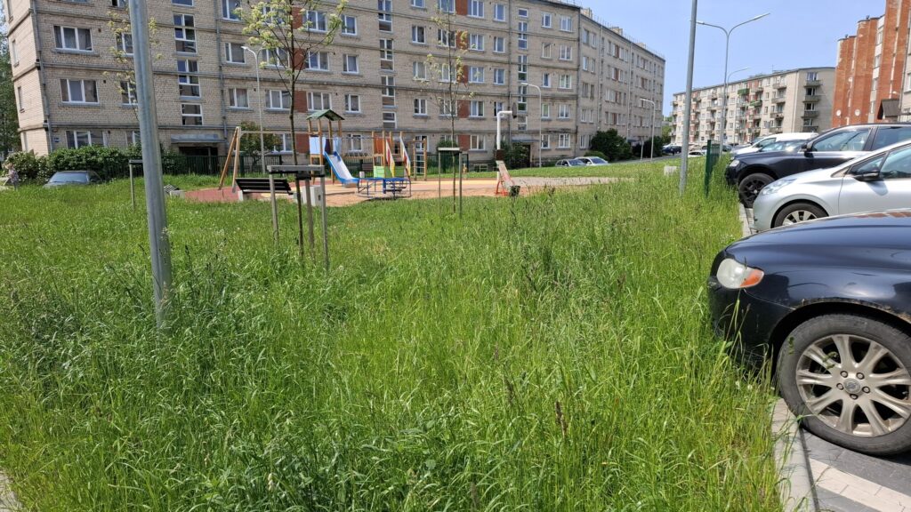 Aluksniesiem.lv raksta attēla aizvietotājs