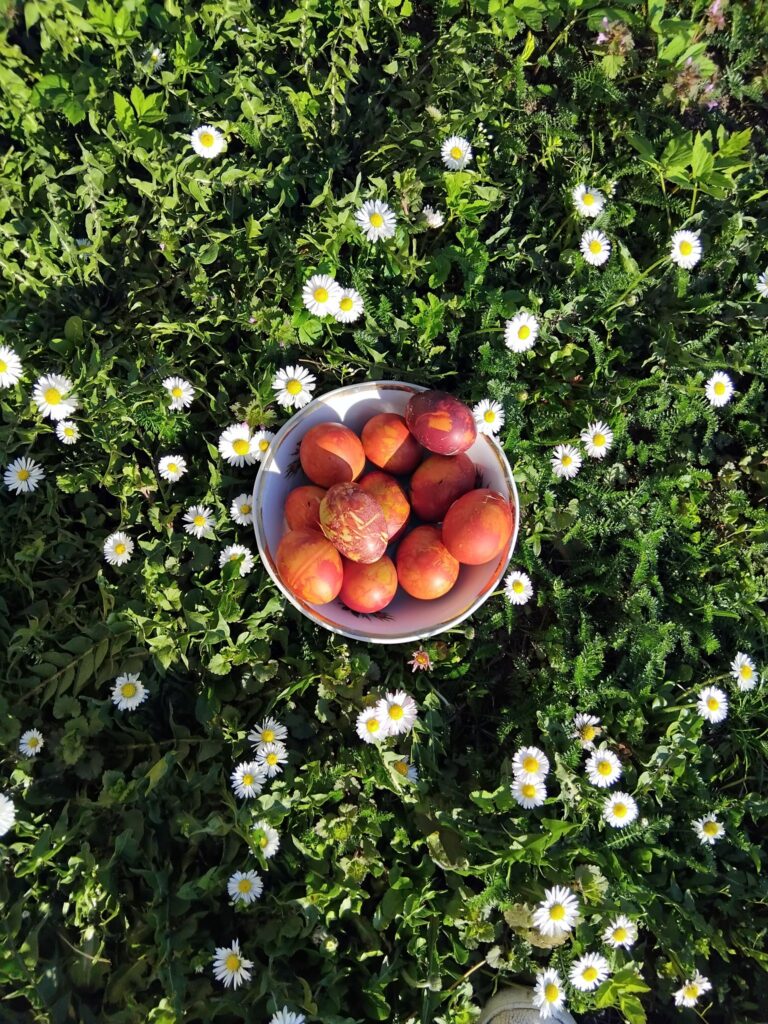 Autors: Foto iesūtījusi Vija Laube