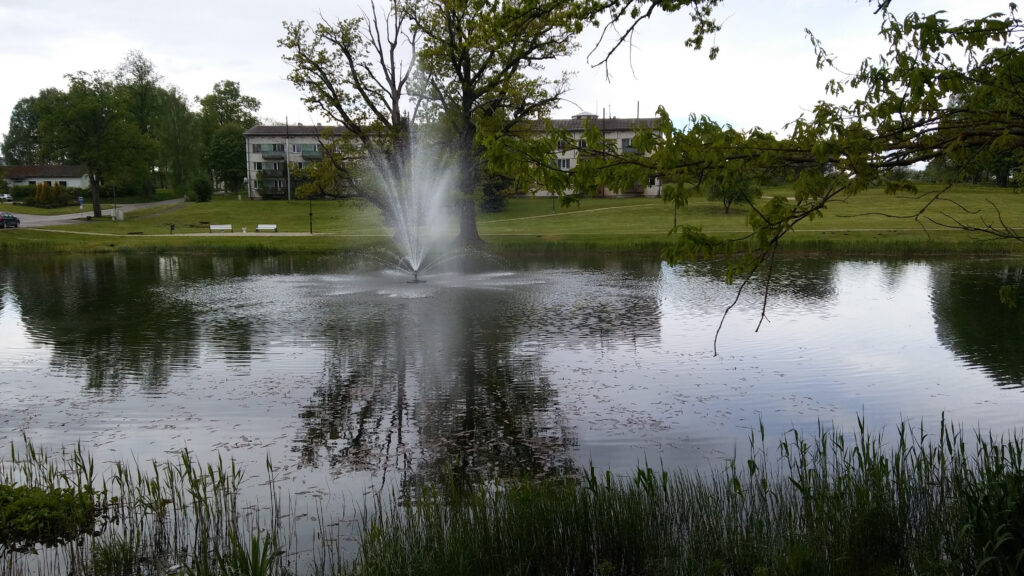 Aluksniesiem.lv raksta attēla aizvietotājs